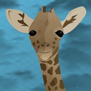 Young Giraffe